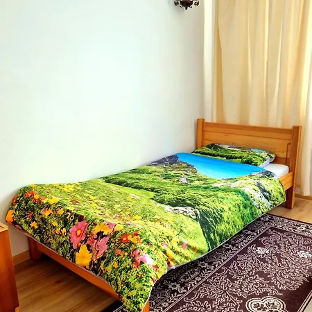 Apartament Przy Parku Wodzickich Poreba Wielka  Exterior photo
