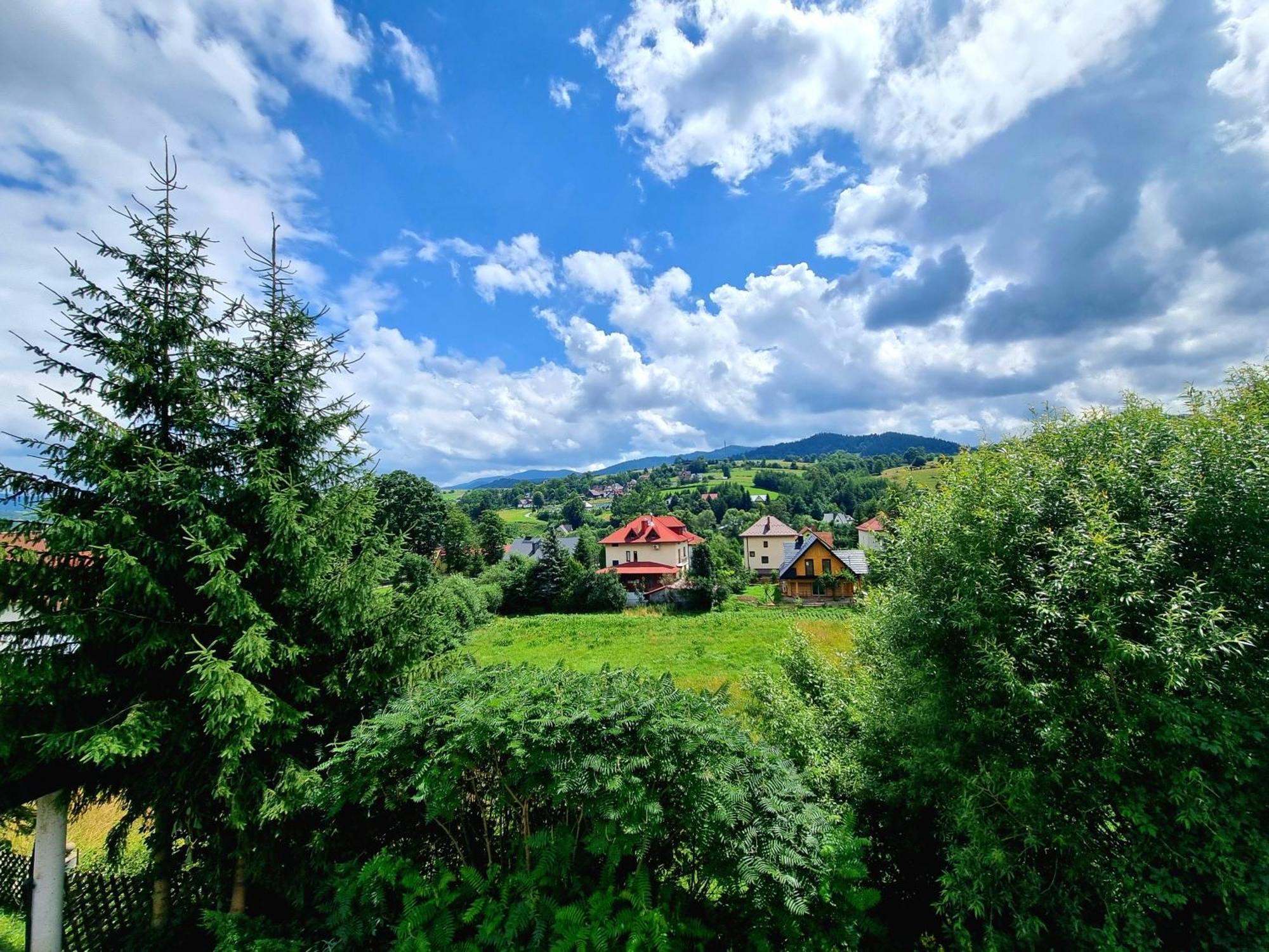 Przy Parku Wodzickich