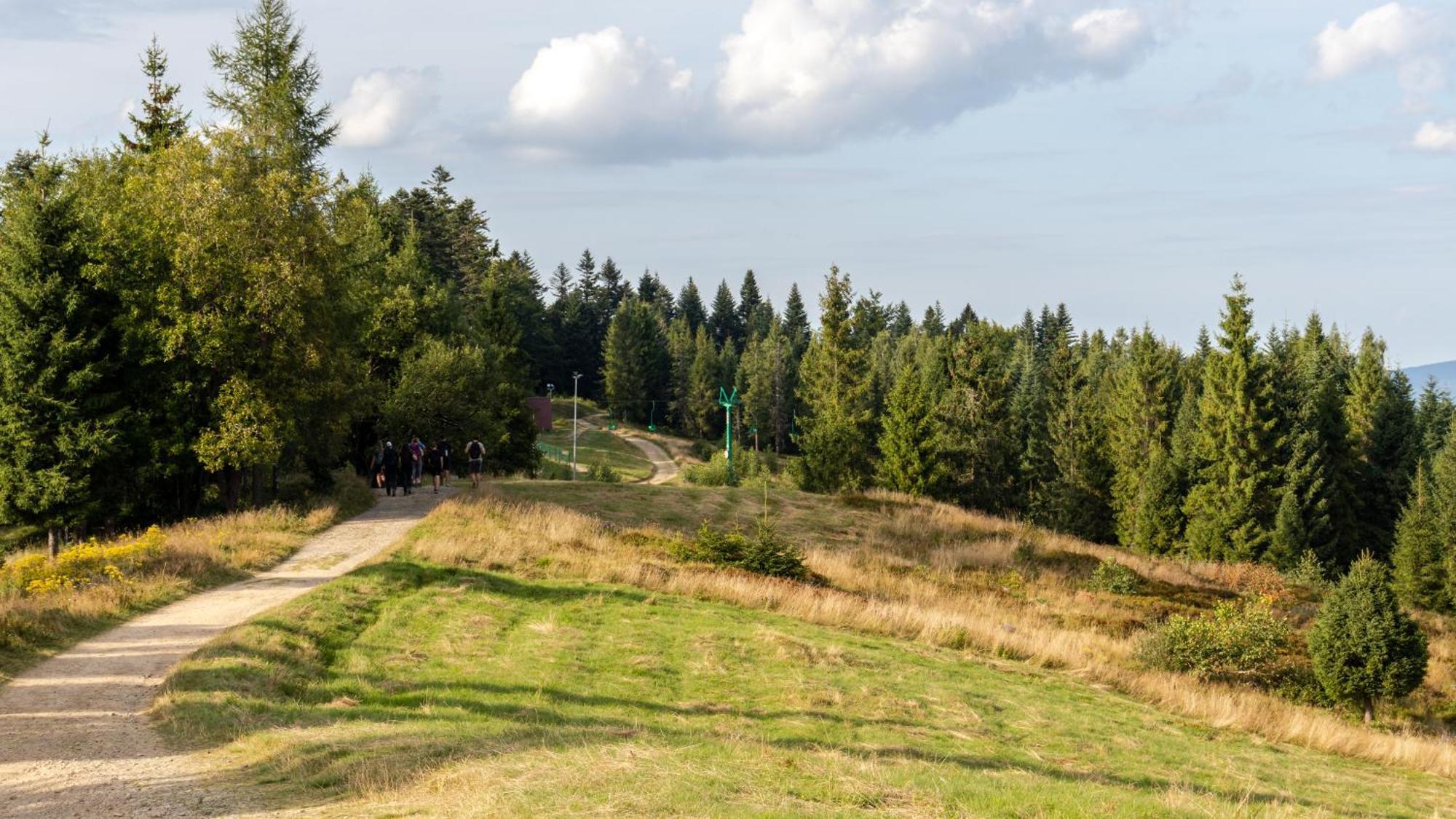 Apartment Przy Parku Wodzickich - Blisko Term, Turbacz, Kgp Poręba Wielka