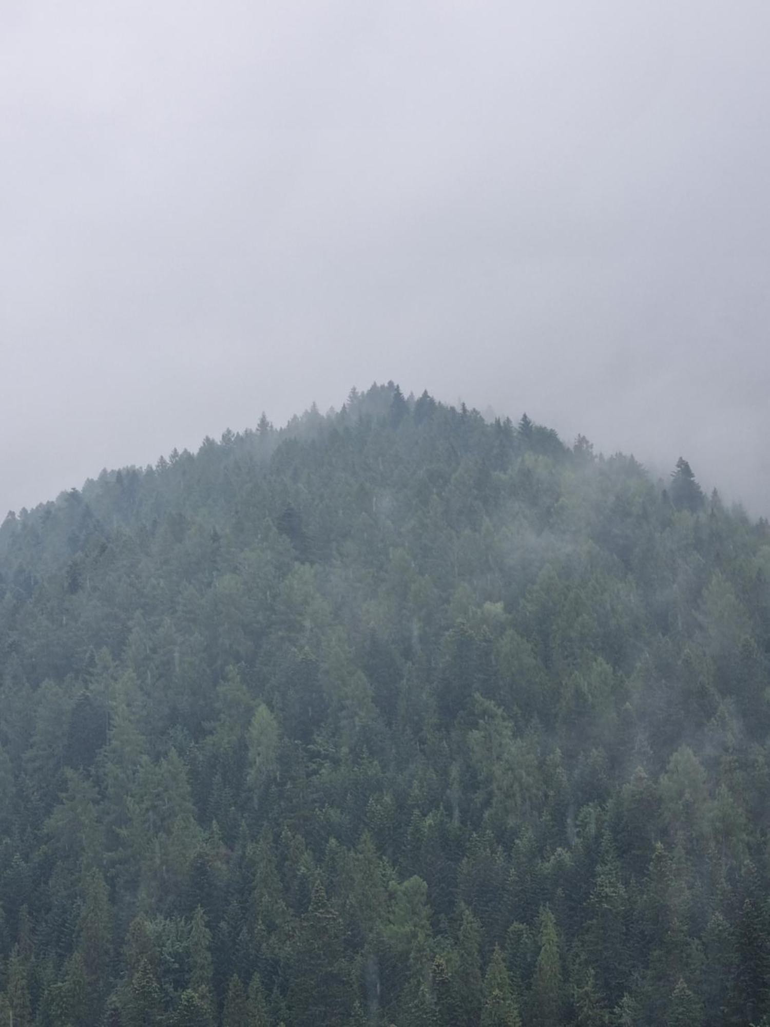 Przy Parku Wodzickich - Blisko Term, Turbacz, Kgp *