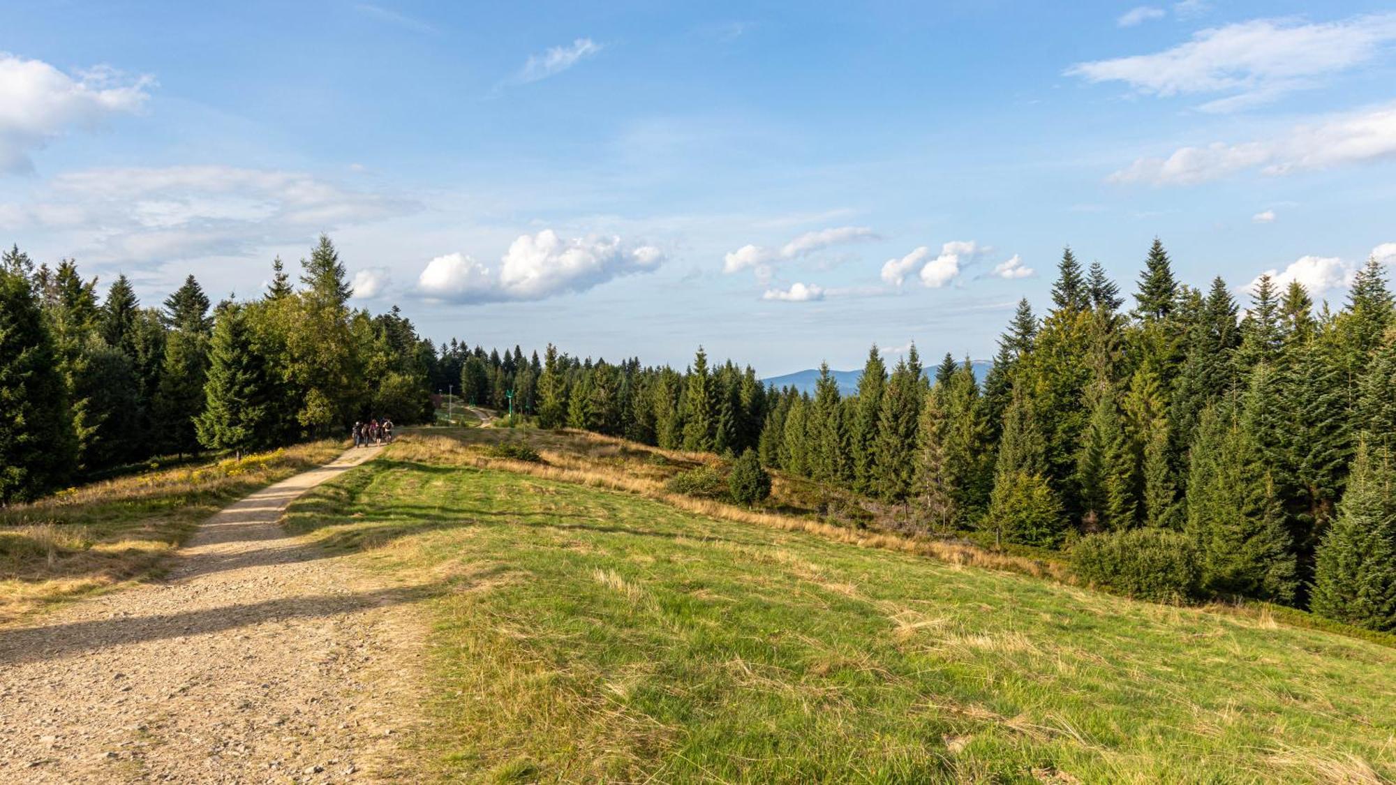 Apartment Przy Parku Wodzickich - Blisko Term, Turbacz, Kgp Poręba Wielka