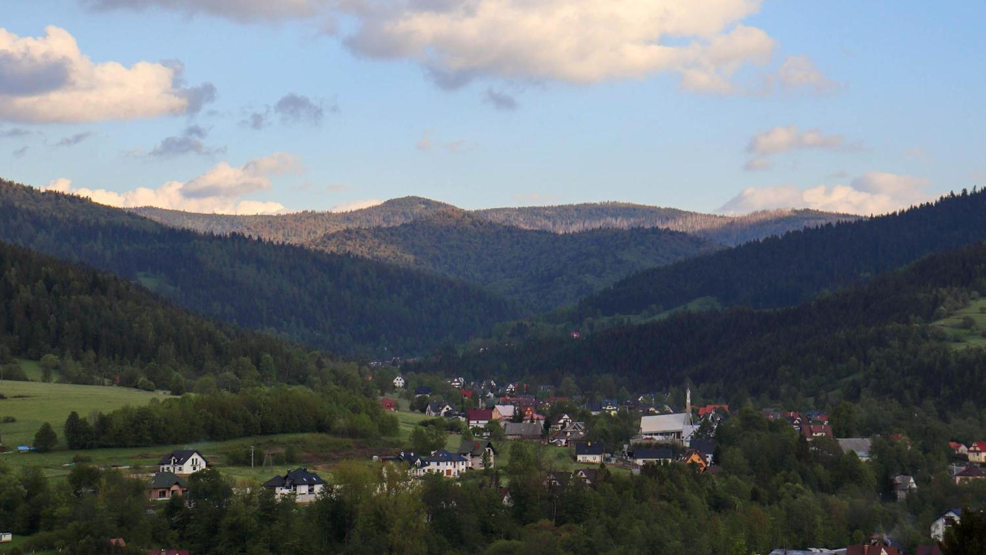 Przy Parku Wodzickich - Blisko Term, Turbacz, Kgp *