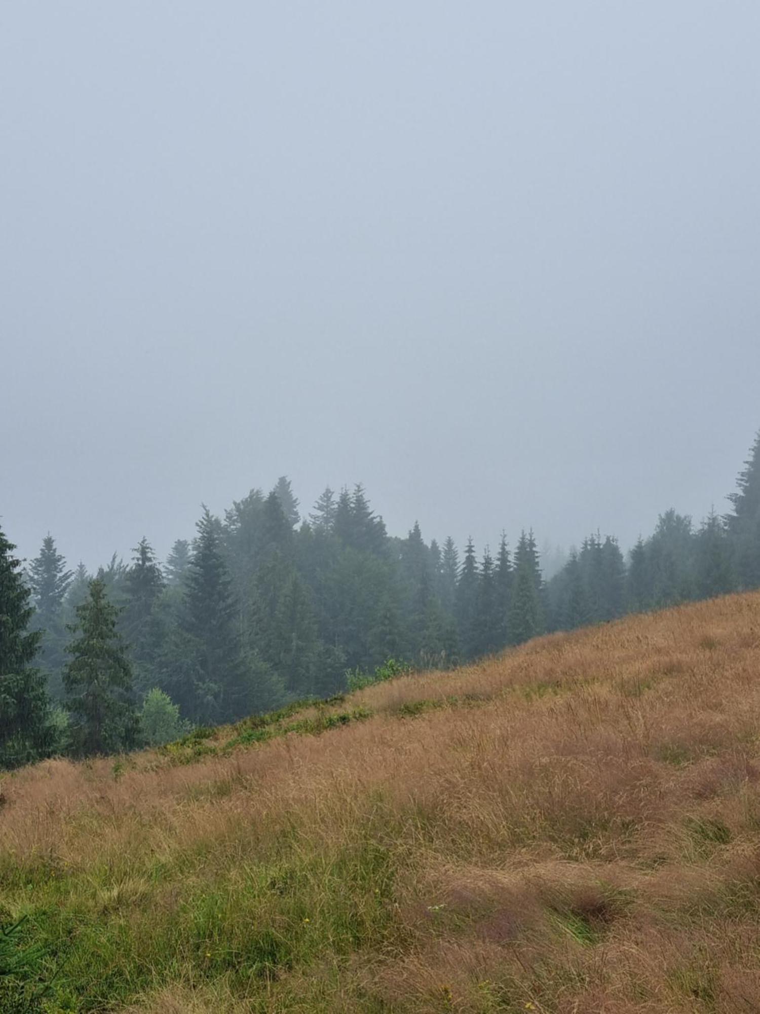 Przy Parku Wodzickich - Blisko Term, Turbacz, Kgp Poręba Wielka