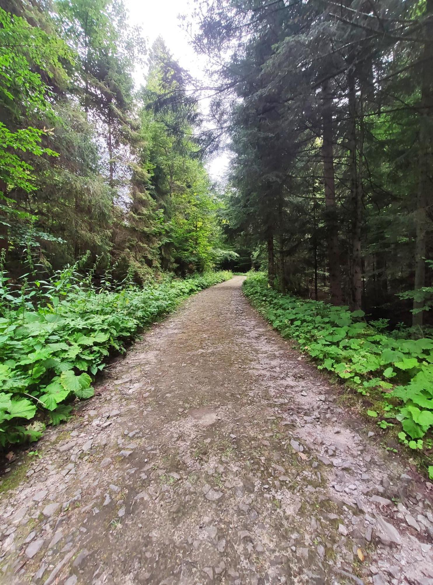 Przy Parku Wodzickich - Blisko Term, Turbacz, Kgp
