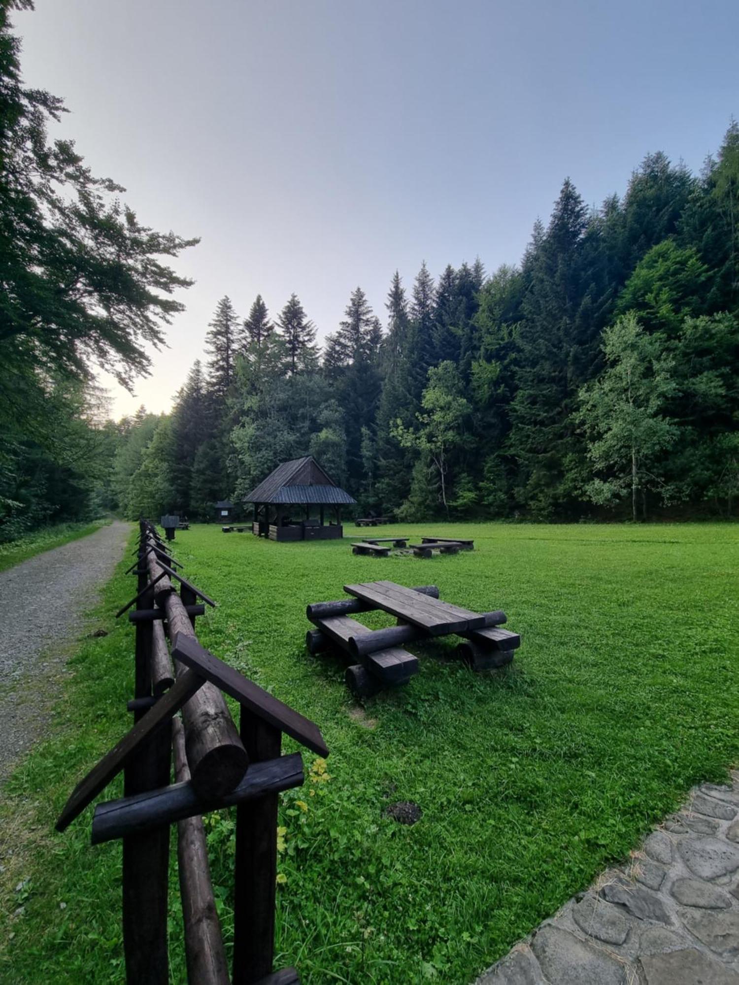 Przy Parku Wodzickich - Blisko Term, Turbacz, Kgp *