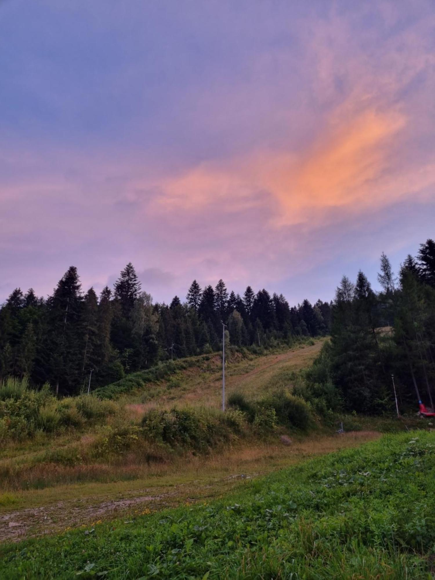 Przy Parku Wodzickich - Blisko Term, Turbacz, Kgp Apartment *