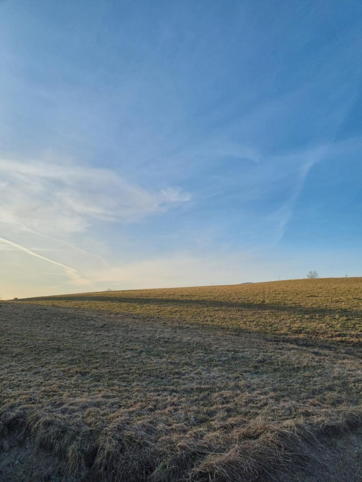 Przy Parku Wodzickich - Blisko Term, Turbacz, Kgp