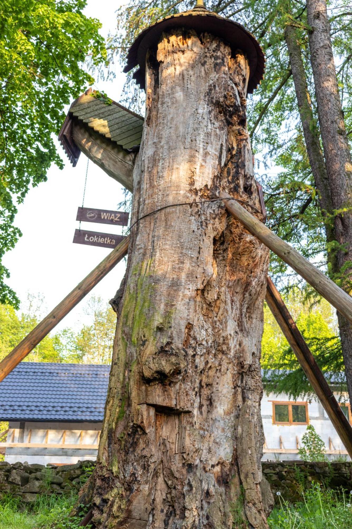 Przy Parku Wodzickich - Blisko Term, Turbacz, Kgp * Poręba Wielka