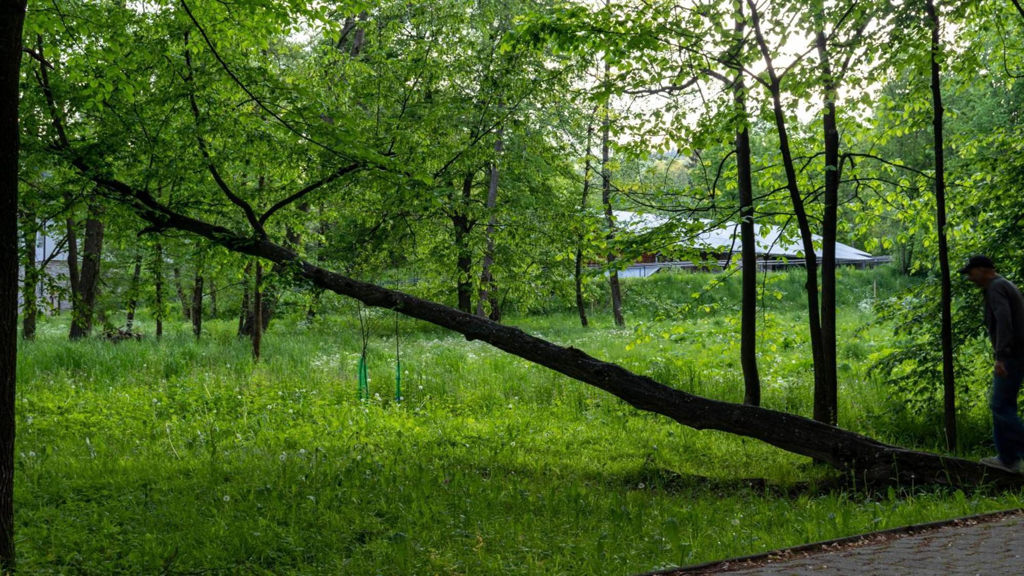 Przy Parku Wodzickich - Blisko Term, Turbacz, Kgp Apartment