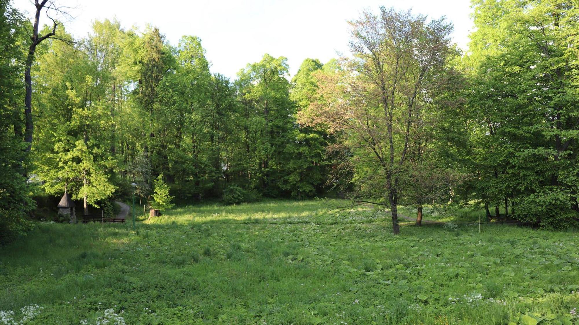 Przy Parku Wodzickich - Blisko Term, Turbacz, Kgp *